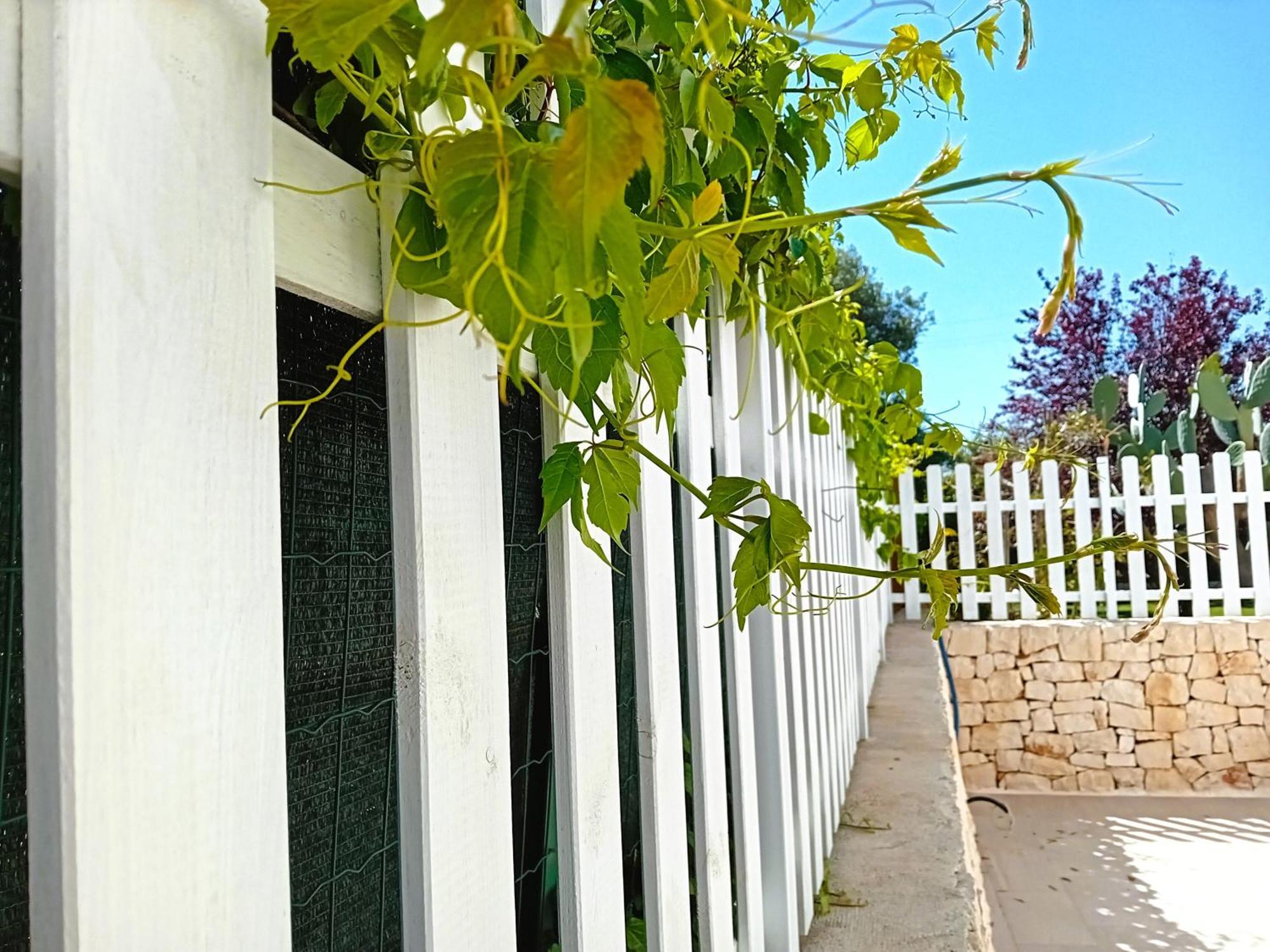 Отель Pietra Di Puglia Монополи Экстерьер фото
